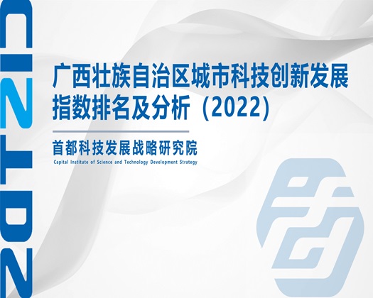 美女的小逼逼啊啊啊【成果发布】广西壮族自治区城市科技创新发展指数排名及分析（2022）